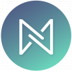 NetServix Investment Group