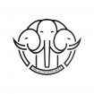 THE SANANIKONE GROUP