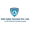 Cybersecurity audit